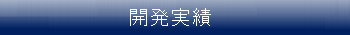 開発実績